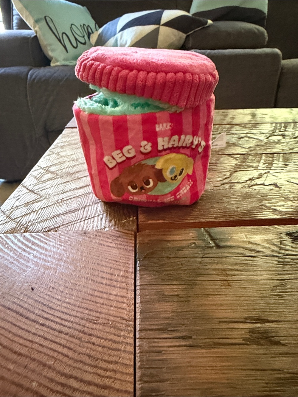 Bark Plush Beg & Hairry’s Pink and Mint Small ice cream Pet Toy